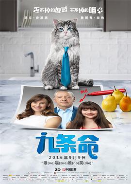 2025-08-21 《律政俏佳人》前传剧集曝剧照 聚焦艾丽高中生活2025-04-03 《律政俏佳人》将拍剧版 原主演威瑟斯彭任制片人2025-02-11 世纪离婚案即将落幕？